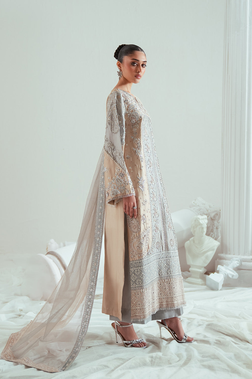 Zariya | Elyse Couture Festive | DOVEGRAY - ZSS6306