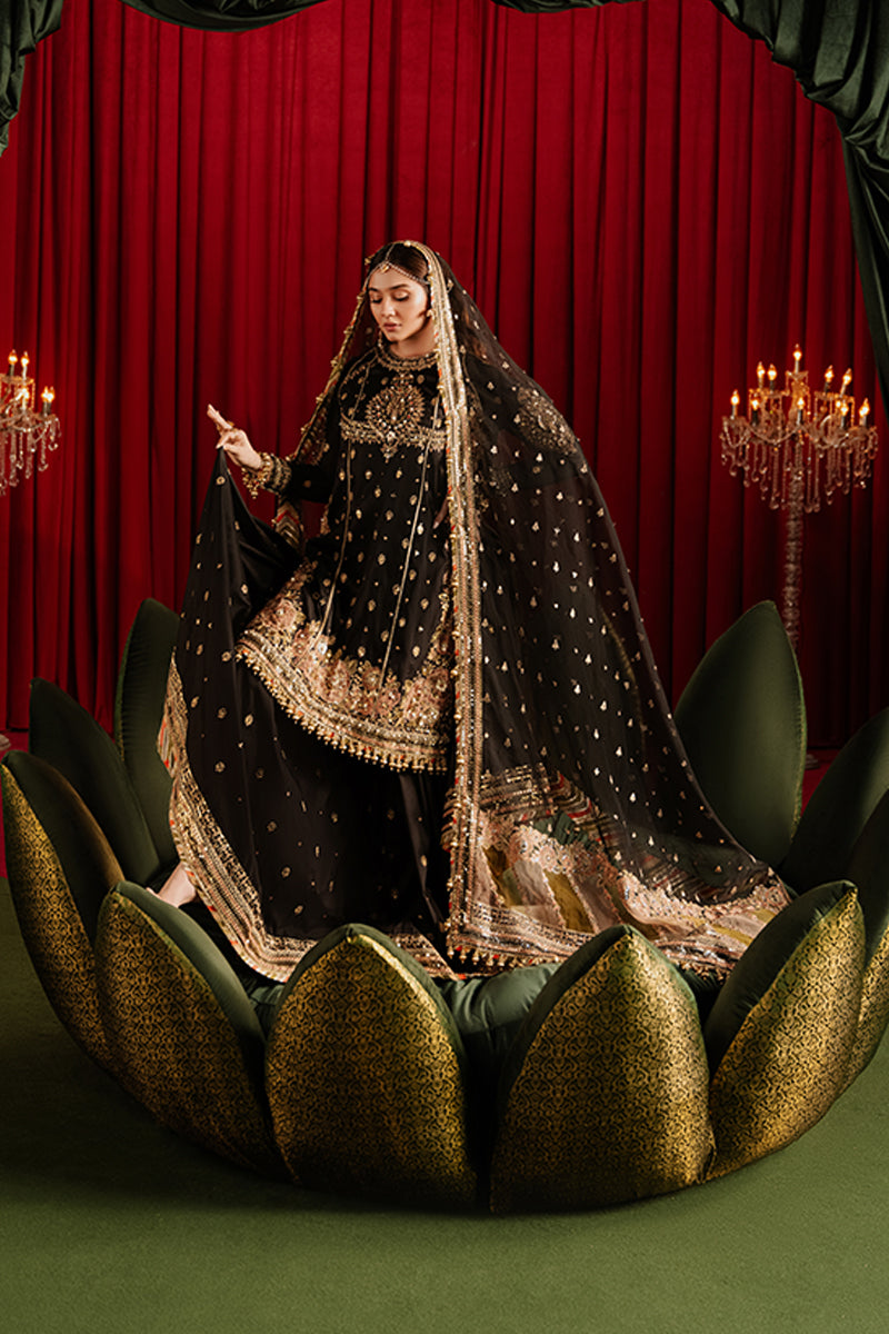 MNR | Zarlish Wedding Formals | AFREEN