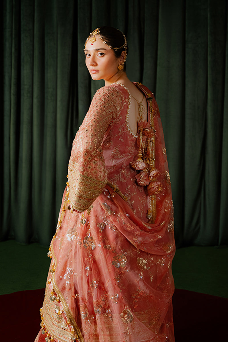 MNR | Zarlish Wedding Formals | GURIYA RANI
