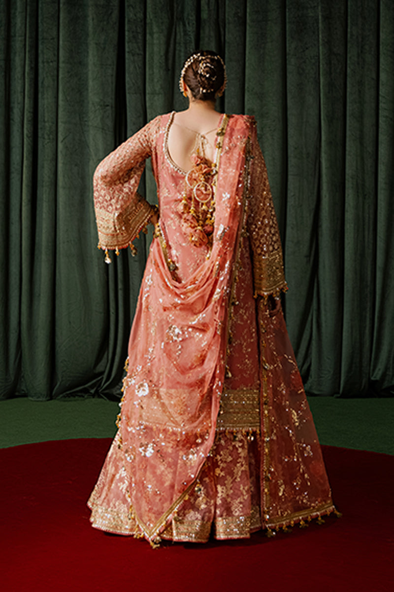 MNR | Zarlish Wedding Formals | GURIYA RANI