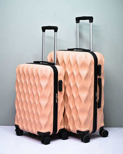 TRAVEL BAG  | D10