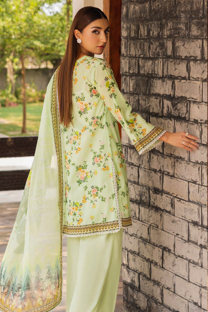 Gulahmed | Print Lawn | SD 42019