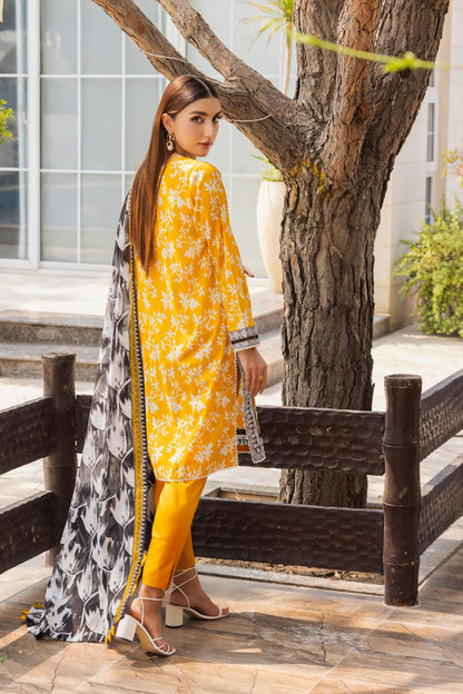 Gulahmed | Print Lawn | SD 42011