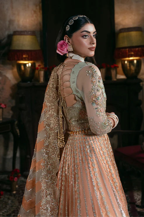 Imrozia / Serene | Noor e Naaz Bridals 25 | IB-56 Sitarah
