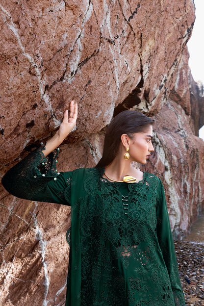 Afsanah | Lost in Waves | A-201