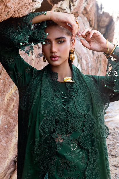 Afsanah | Lost in Waves | A-201