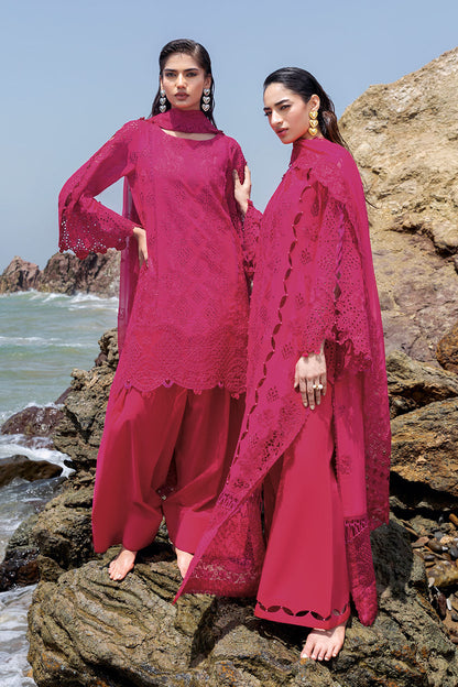 Afsanah | Lost in Waves | A-207