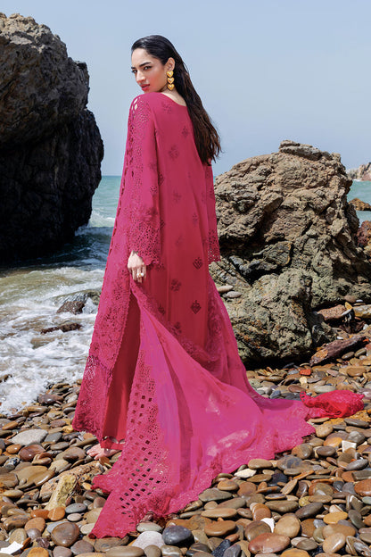 Afsanah | Lost in Waves | A-207