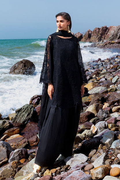 Afsanah | Lost in Waves | A-205