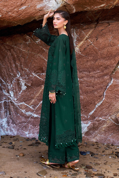 Afsanah | Lost in Waves | A-201