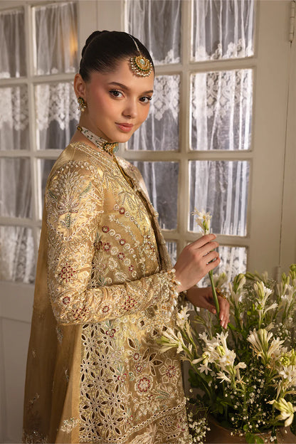 AFROZEH | DASTANGOI'25 | Goldveil