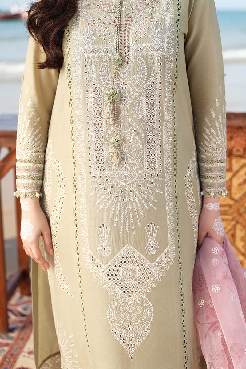 Jazmin | Shahkar lawn 2023 | TABAN - modrenshoppingmall